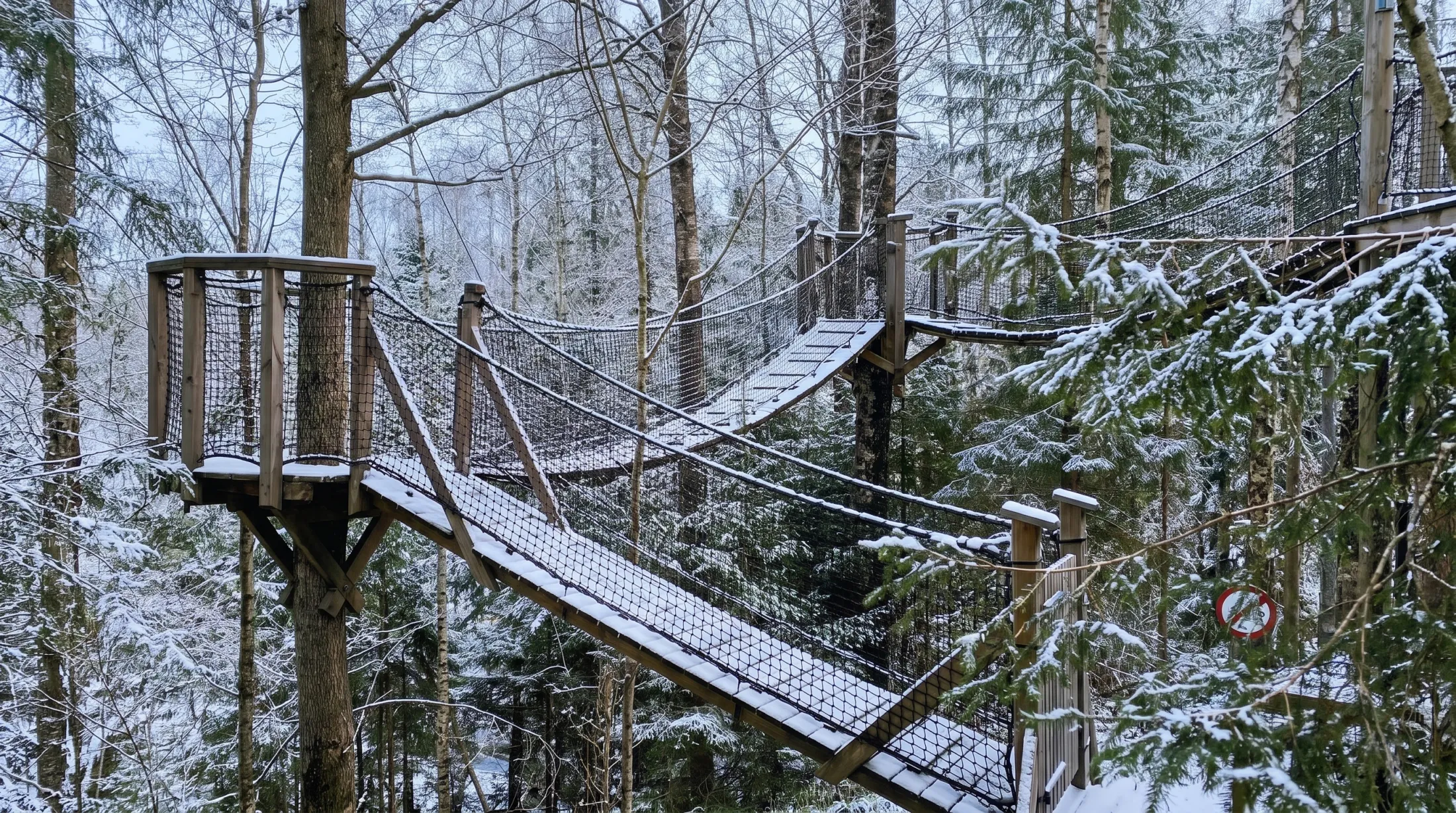 Klatrepark med hengebruer mellom snødekte trær